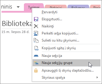 Ekrano kopija, kurioje rodoma, kaip programoje „OneNote 2016“ sukurti naują sekcijų grupę.