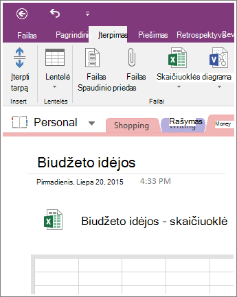 Naujos skaičiuoklės programoje „OneNote 2016“ ekrano nuotrauka.