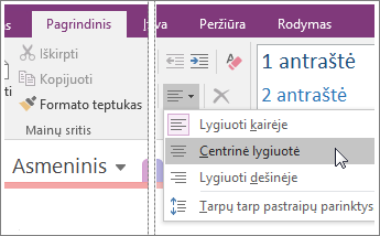 „OneNote 2016“ mygtuko Pastraipos lygiuotė ekrano nuotrauka.