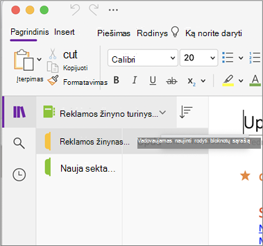 Rodyti bloknotų sąrašą