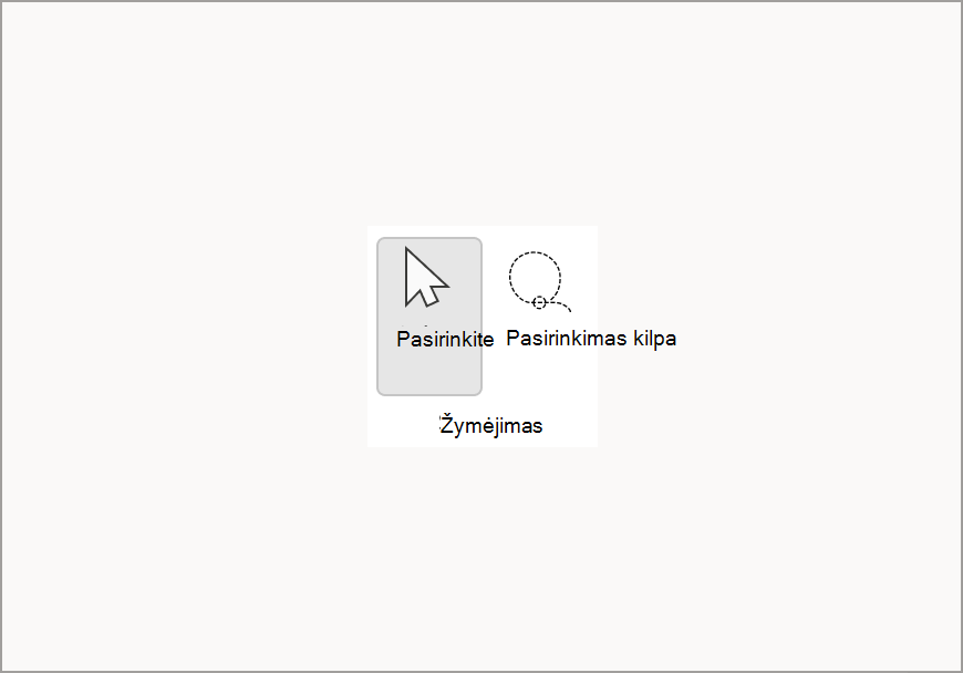 Pasirinkimas (3).png
