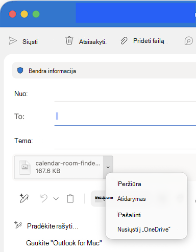 Išplečiamojo sąrašo Pridėti failą parinktys programoje 