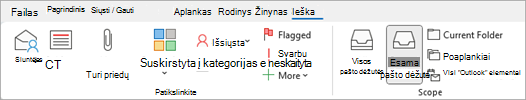 Juostelėje pasirinkite Yra priedų, kad galėtumėte ieškoti elementų, kuriuose yra failų.