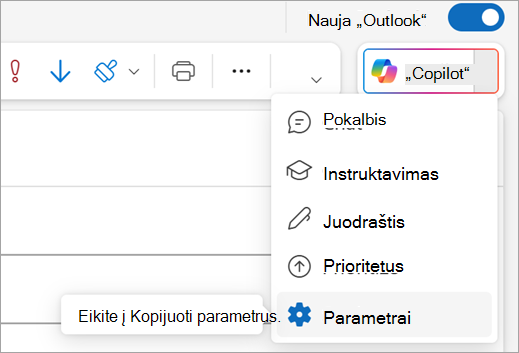 Rodo parametrų parinktį 