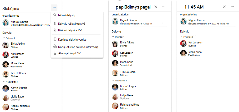 Susitikimo dalyvių kopijavimo ir eksportavimo ekrano kopija