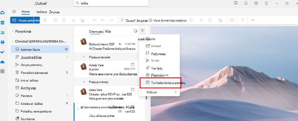 Ekrano kopijoje matyti, kad vadovų administratoriai gali naudoti aplanką Turi kalendoriaus kvietimų el. pašto filtrą