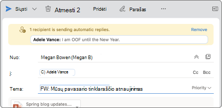 Ekrano kopijoje parodyta, kaip atrodo pašto patarimai.