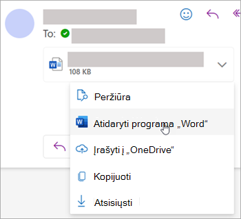 Ekrano kopija, kurioje rodomas priedo atidarymo išplečiamasis sąrašas programoje 