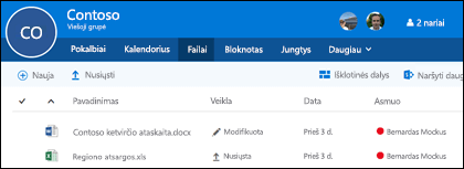 Spustelėkite Files savo Office 365 grupėje, kad pamatytumėte savo grupėje saugomų failų ir aplankų sąrašą