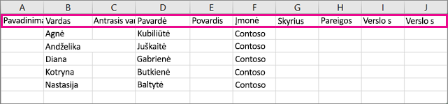 Štai kaip pavyzdinis .csv failas atrodo programoje 