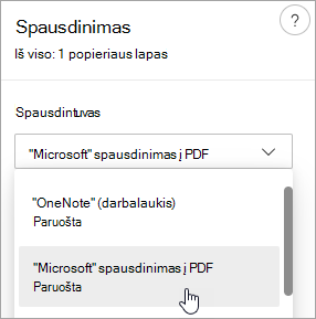 Ekrano kopija, kurioje matomas 