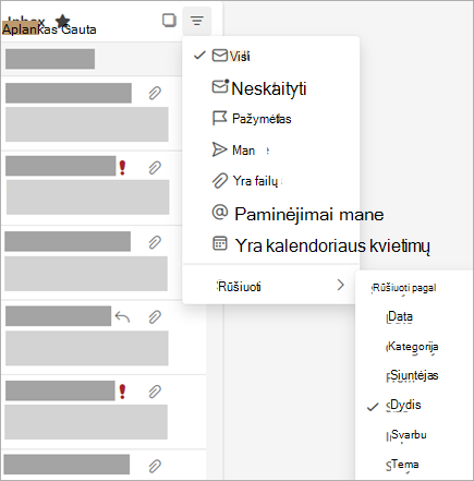 Filtravimo meniu ekrano nuotrauka, kai pasirinkta Rikiuoti pagal