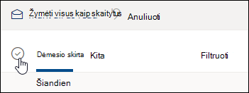 Žymės langelio virš pranešimų sąrašo ekrano kopija