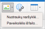 Rodomos parašo įterpimo vaizdo parinktys