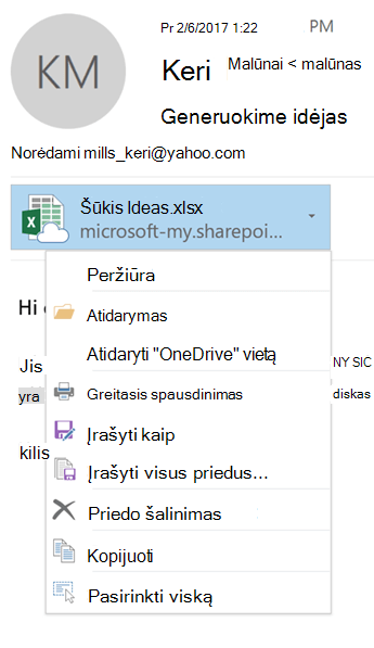 Jei norite peržiūrėti priedo meniu, pasirinkite išplečiamąją rodyklę dešinėje priedo piktogramos pusėje
