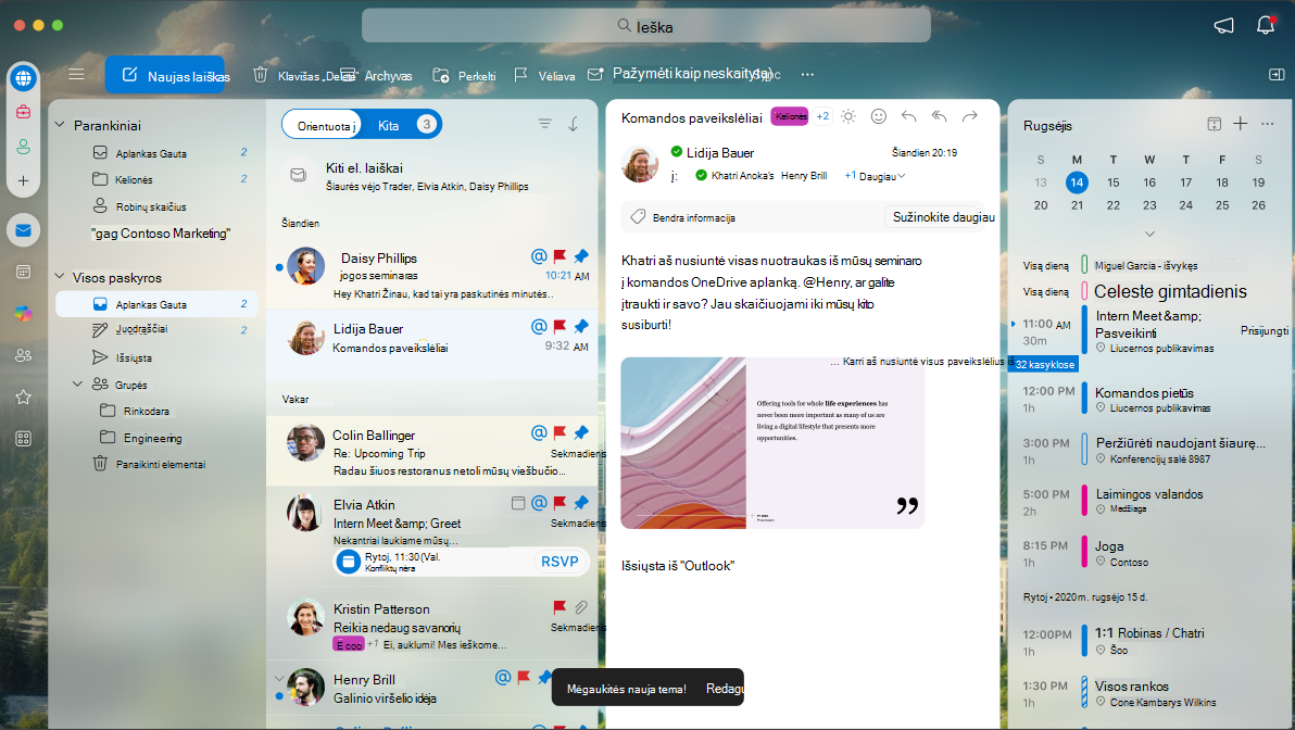 Ekranas, kuriame rodoma, kaip atrodo tema, kai ji pritaikyta programoje 
