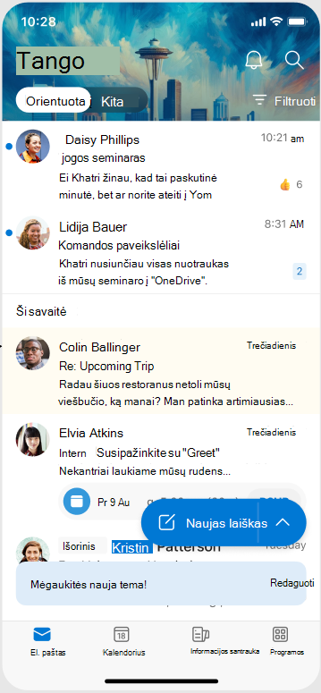 Ekranas, kuriame rodoma, kaip atrodo tema, kai ji pritaikyta 