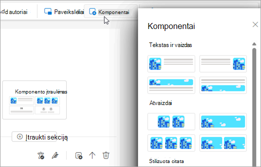 Komponentų sritis informaciniuose biuleteniuose