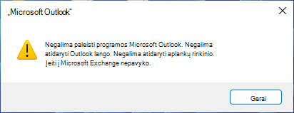 Klaidos pranešimas, nurodantis, kad negalima paleisti 