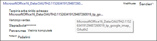 MicrosoftOffice16_Data pavyzdys