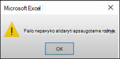 Apsaugoto rodinio failo klaida 