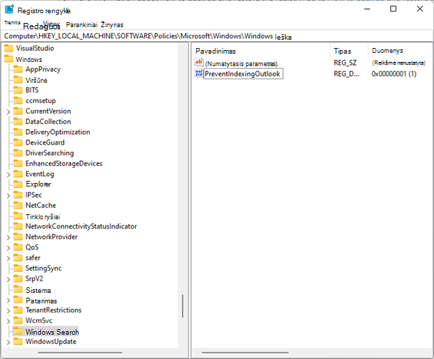 regedit „Windows“ ieška