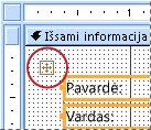 Rodinio Dizainas formos maketo išrinkiklis.