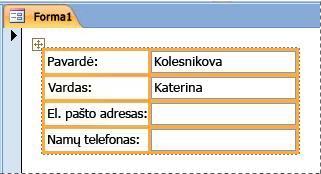 Laukai, esantys formos rietuvės makete