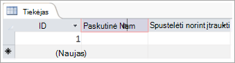 Lauko ekrano fragmentas, kuriame stulpeliui įtraukiamas aprašomasis pavadinimas