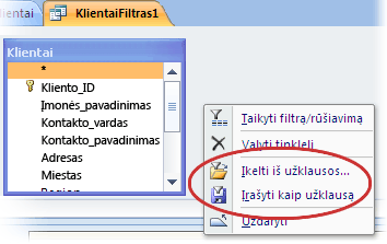 Specialiosios filtro parinktys