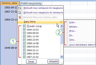 Bendrieji datų filtrai