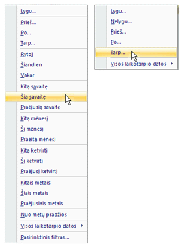 Ilgi ir trumpi bendrųjų datų filtrų sąrašai