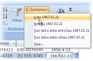 Filtrų pagal pasirinktą sritį sąrašas