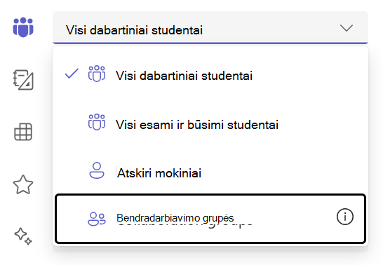 Studentų grupės