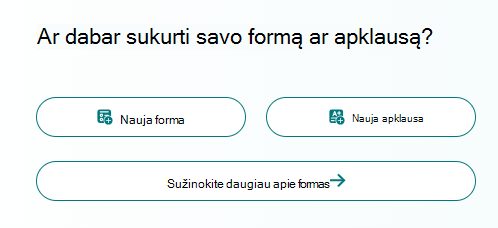 Naujų formos parinkčių ekrano nuotrauka.