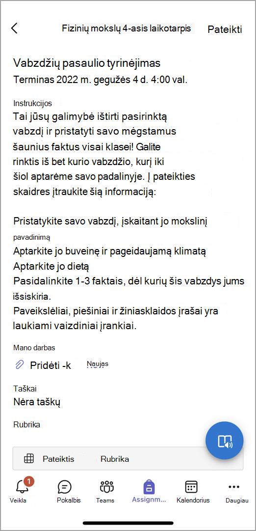 Ekrano nuotrauka, kurioje rodoma, ką mokiniai mato pateikdami užduotį mobiliojoje programoje 