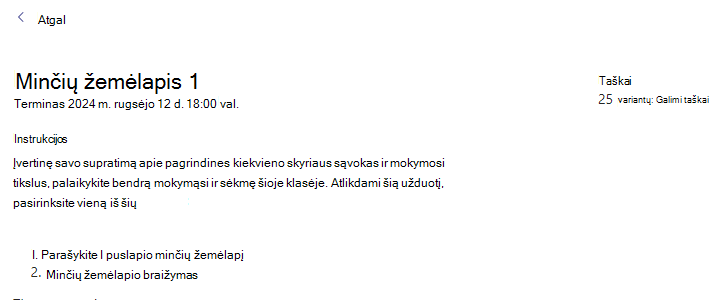 Darbo ekrano kopija.