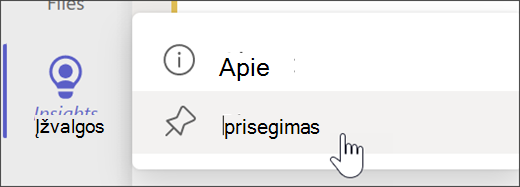 Ekrano kopija, kurioje parodyta Prisegti įžvalgas prie programos juostos.