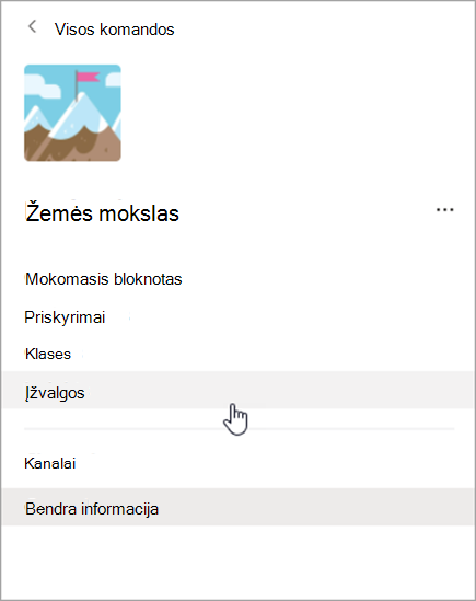 Naršymo programoje „Teams“ ekrano kopija