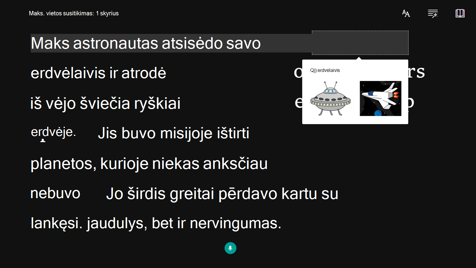 Pritaikymo neįgaliesiems parinkties ekrano nuotrauka.