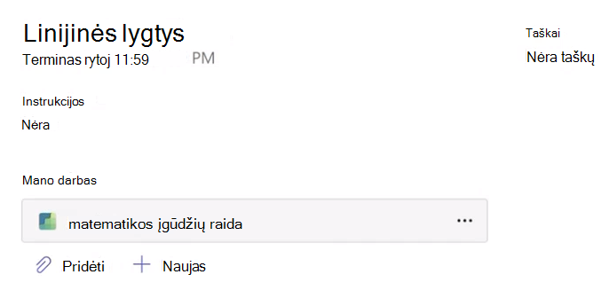 Užduoties ekrano kopija.