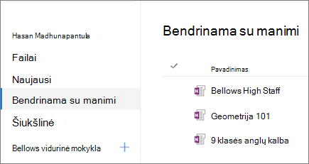 Bloknotų pavadinimų ekrano nuotrauka.