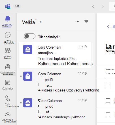 Veiklos ekrano kopija.