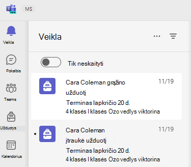 Veiklos ekrano kopija.