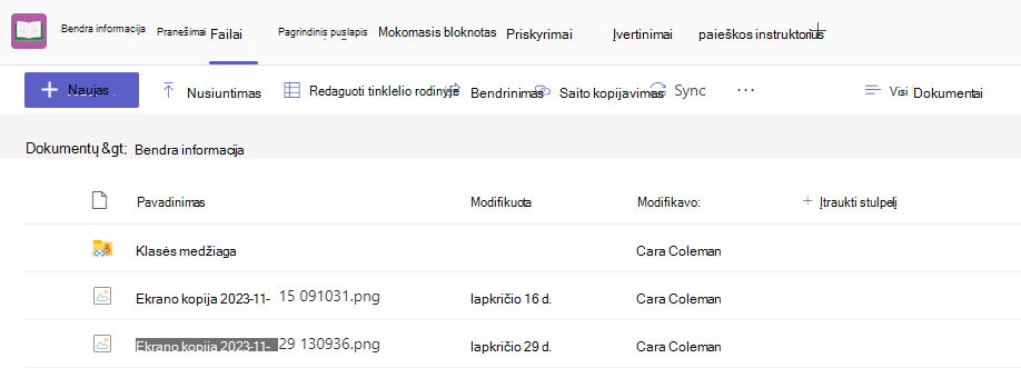 Failų ekrano kopija.