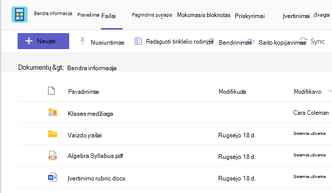 Ekrano kopija, kurioje rodomas skirtukas 