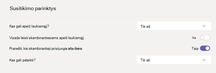 Susitikimo parinktys programoje 