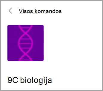 Grįžti į Visos komandos.