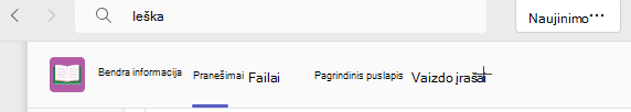 Įrašų ekrano kopija.