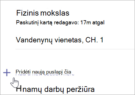Ekrano nuotrauka, kurioje rodomas mokomojo bloknoto puslapis su parinktimi įtraukti naują sekciją.